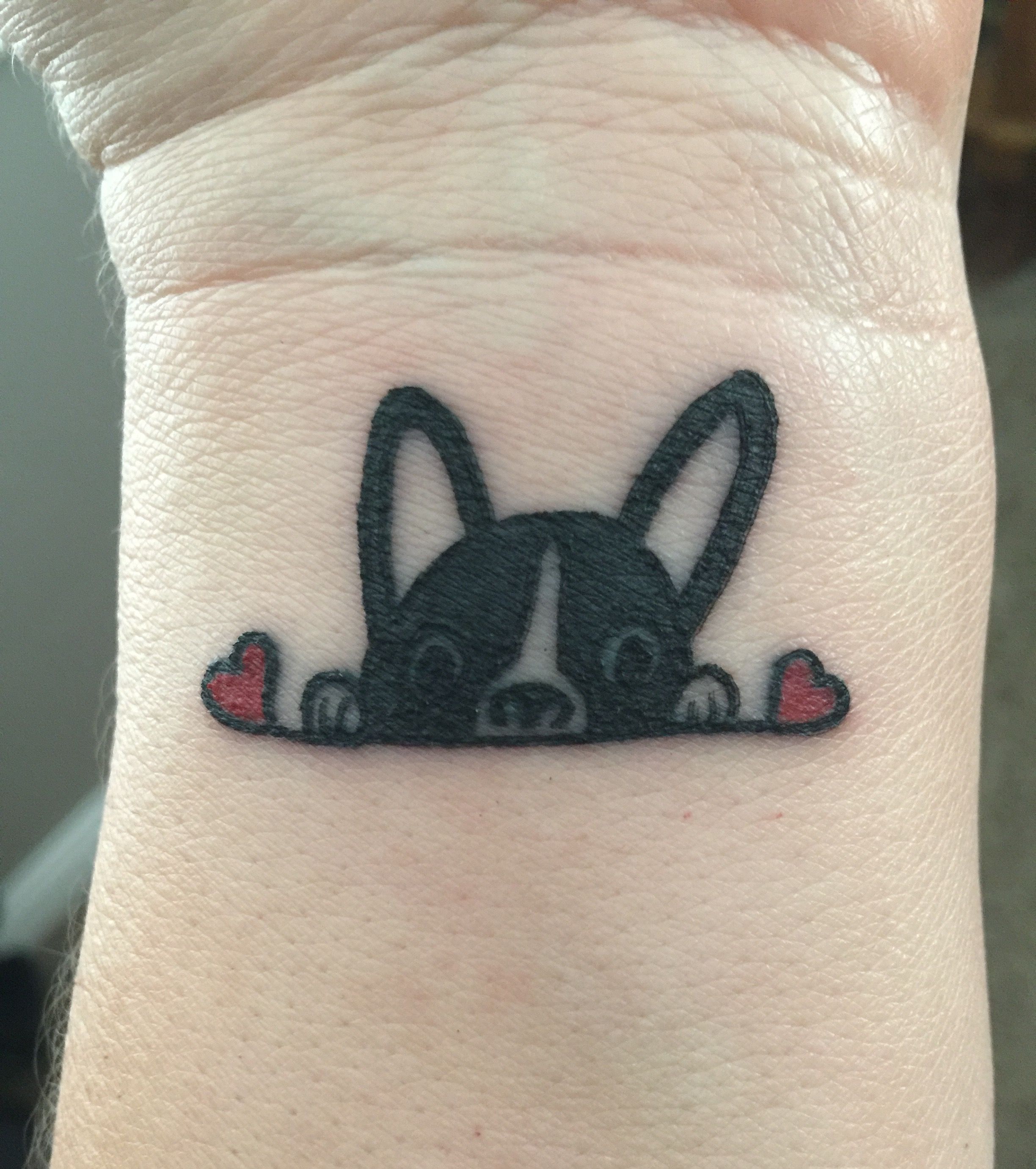 half face of Boston Terrier peeking from a line with two hearts on each end tattoo on the wrist
