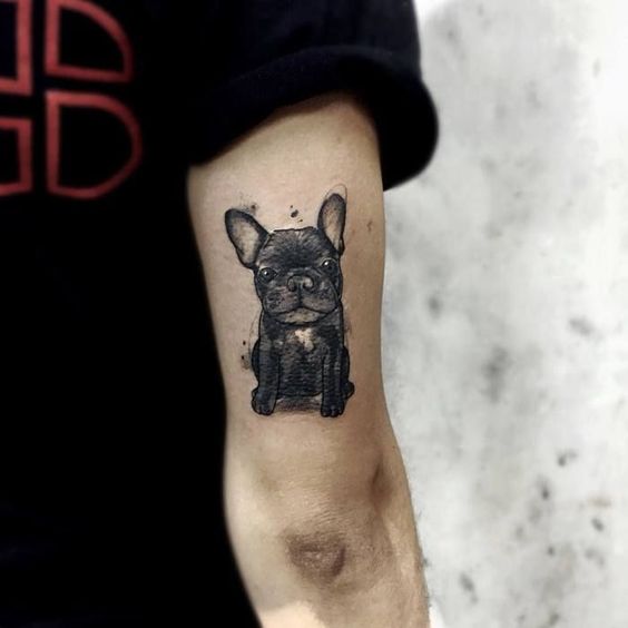 sitting black French Bulldog Tattoo on the back of the arm
