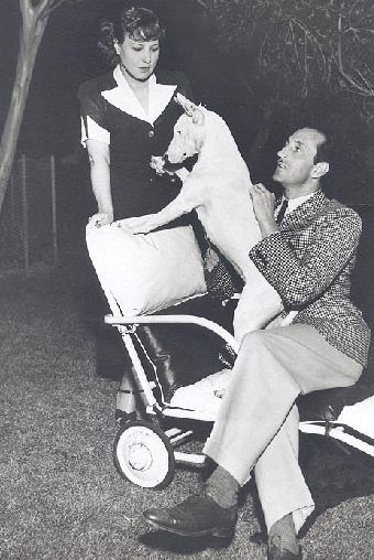 Actor Basil Rathbone and his wife Ouida with their English Bull Terrier