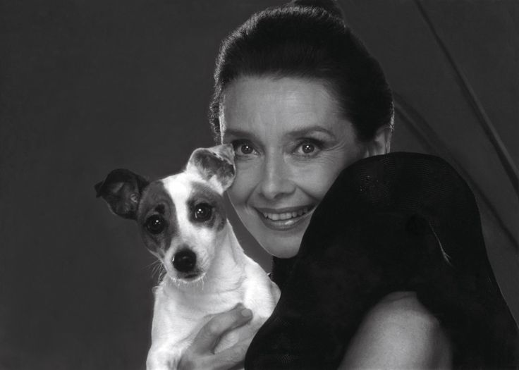 black and white photo of Audrey Hepburn with her Jack Russell Terrier