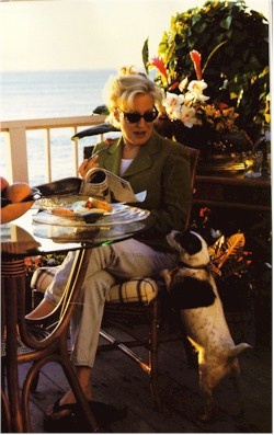 Bette Midler sitting on the chair while looking at her Jack Russell Terrier begging for food