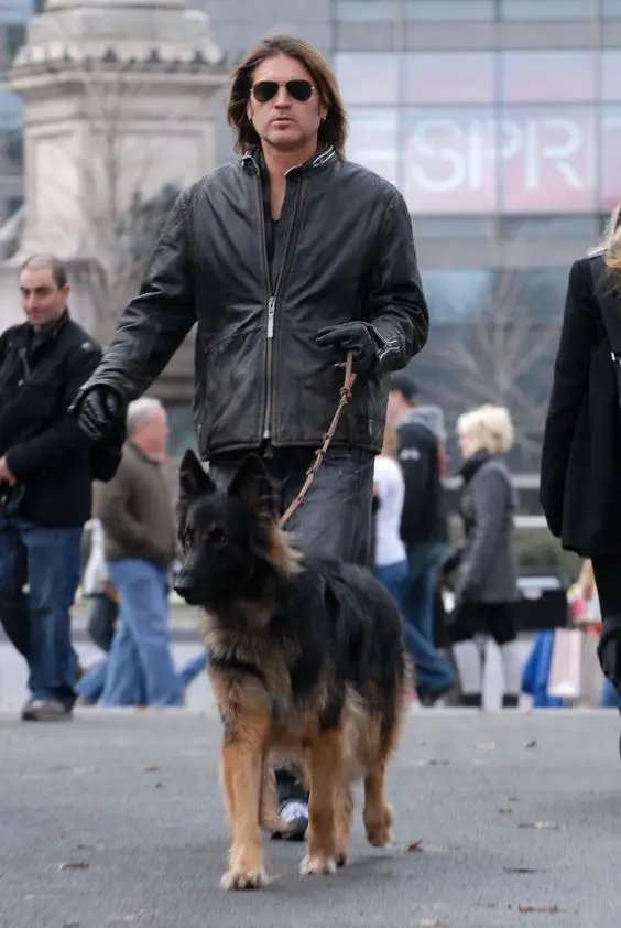 Billy Ray Cyrus walking in the street with his German Shepherd