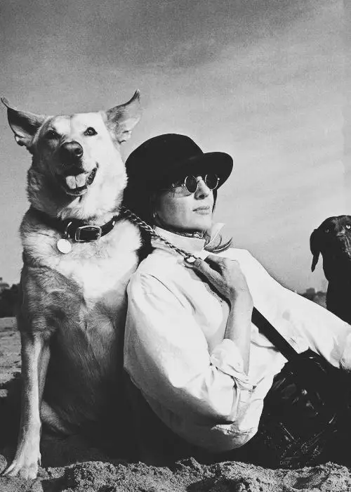 Diane Keaton leaning back to her German Shepherd while sitting on the sand