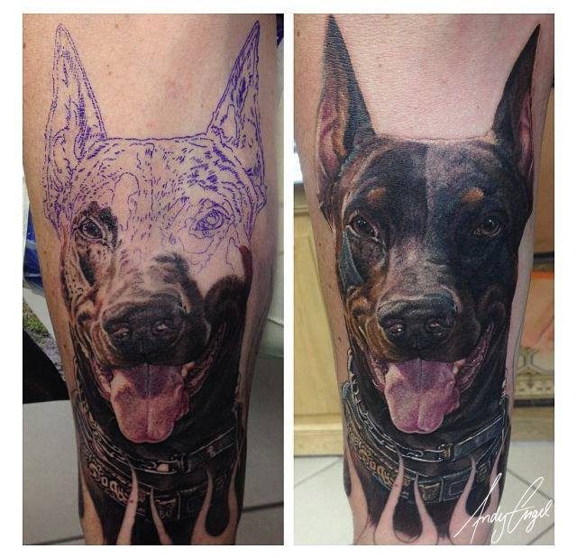 half finished and finished tattoo of the face of a Doberman on the leg