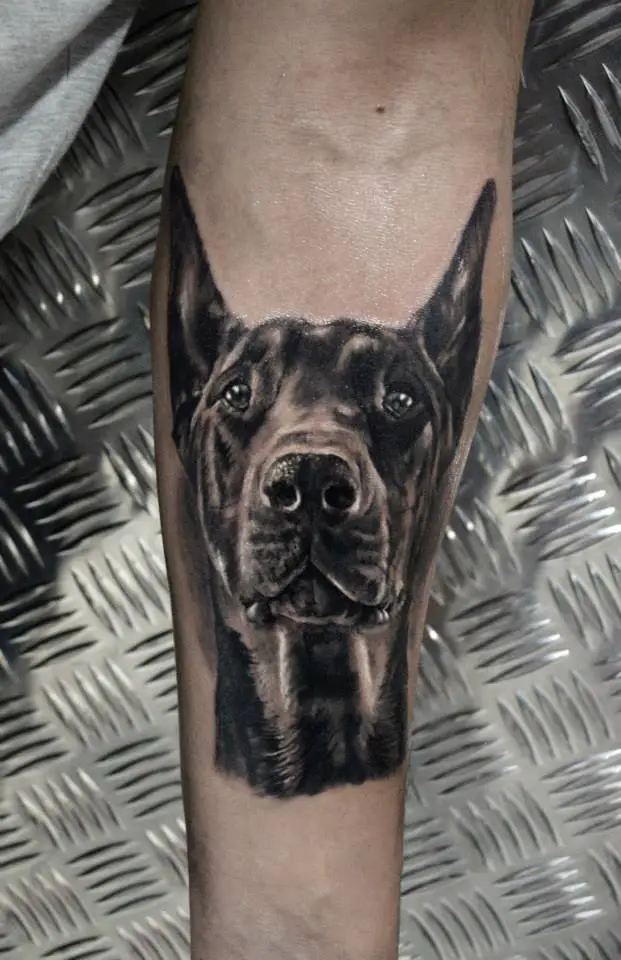 black and gray face of a Doberman tattoo on the forearm