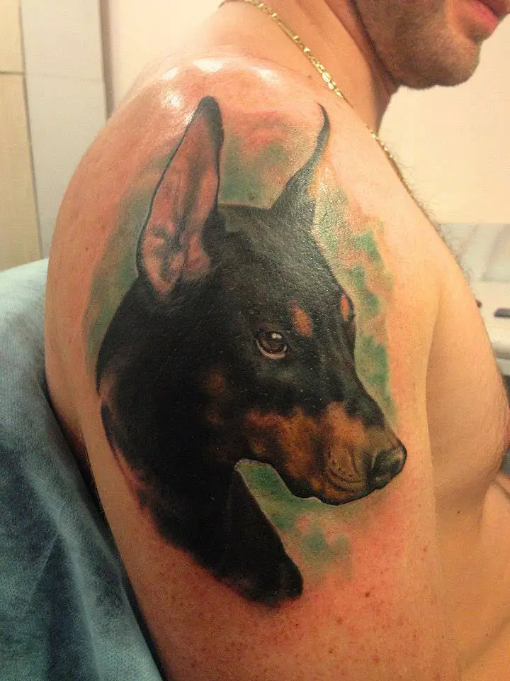 sideview head of a realistic Doberman with green background tattoo on the shoulder