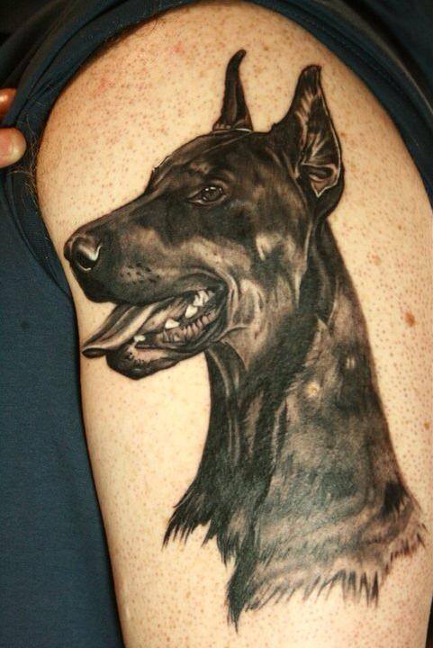 black and white Doberman looking sideways tattoo on the shoulder