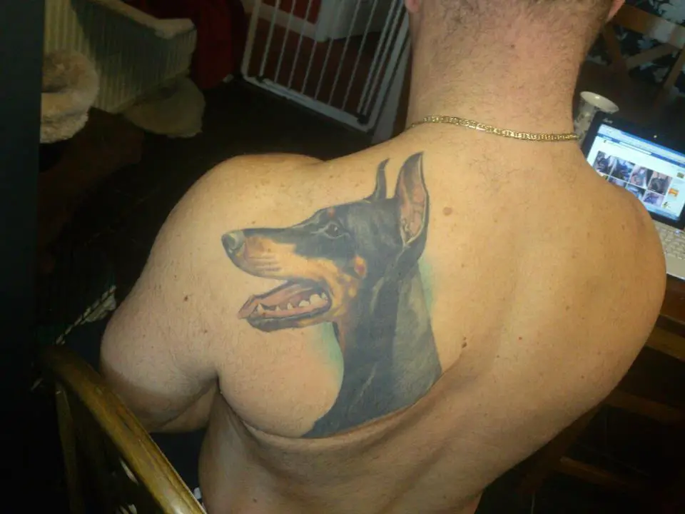 sideview head of a Doberman tattoo on the back