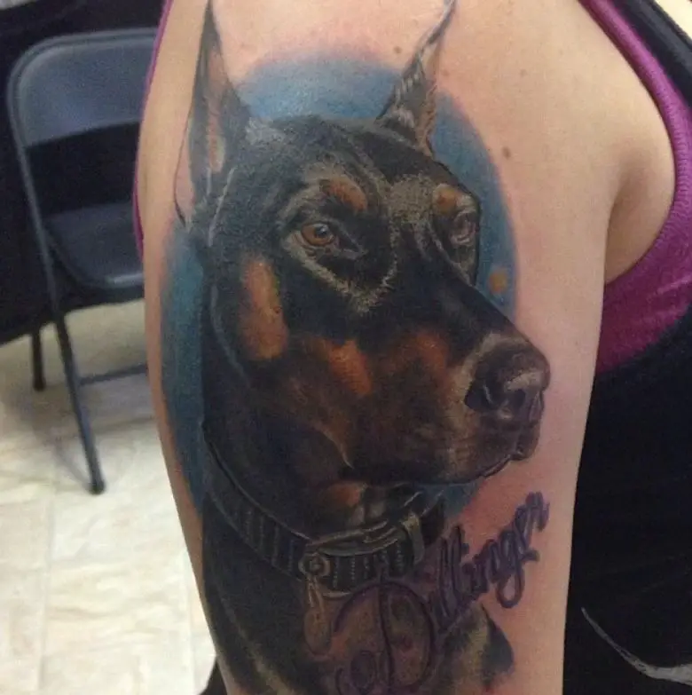 realistic sideview head of a Doberman with blue shadow background tattoo on the shoulder