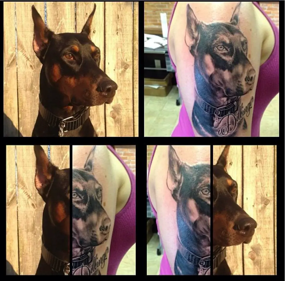photos of a woman with Doberman tattoo on its shoulder