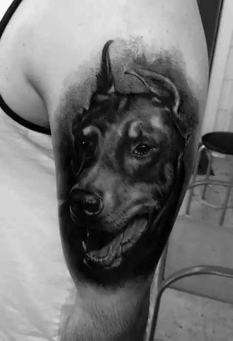 black and gray 3D face of a Doberman tattoo on the shoulder