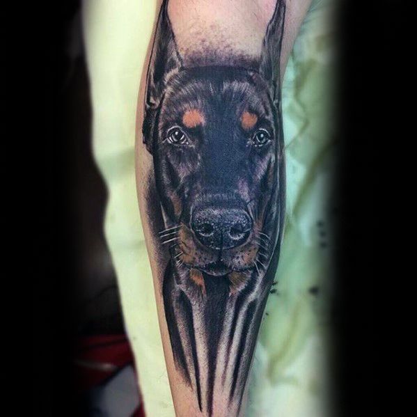 realistic face of a Doberman with black and brown colors tattoo on the forearm
