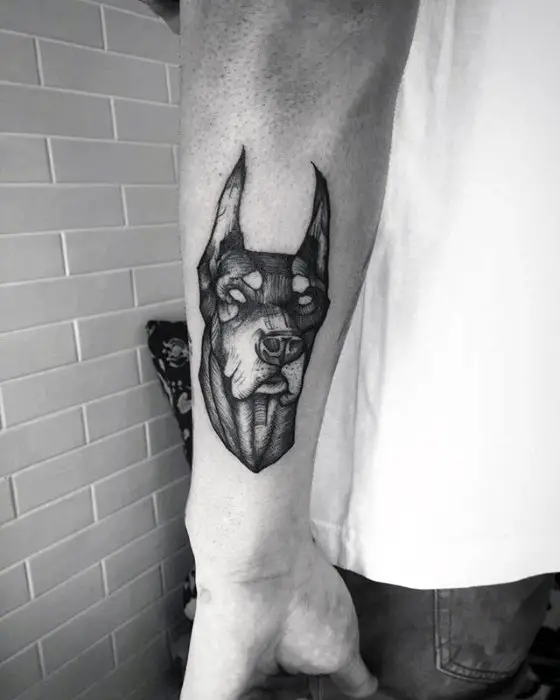 sketch tattoo of the head of a Doberman on the forearm