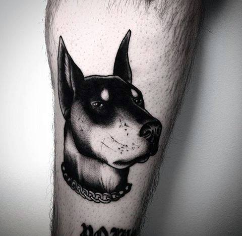 black and gray sideview head of a Doberman wearing chain around its neck tattoo on the leg