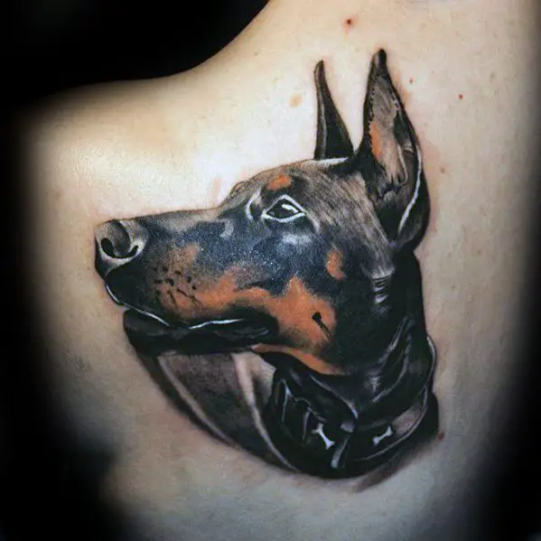 realistic sideview head of a Doberman tattoo on the back