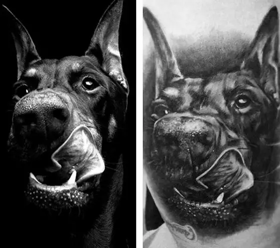 black and white photo of the face of a Doberman licking its mouth and photo of a shoulder with its face tattoo