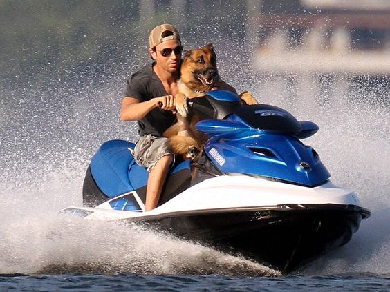 Enrique Iglesias riding a speed boat in the water with his German Shepherd