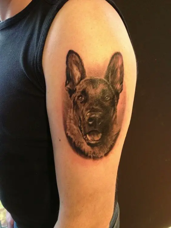 face German Shepherd Dog with an open mouth Tattoo on the shoulder