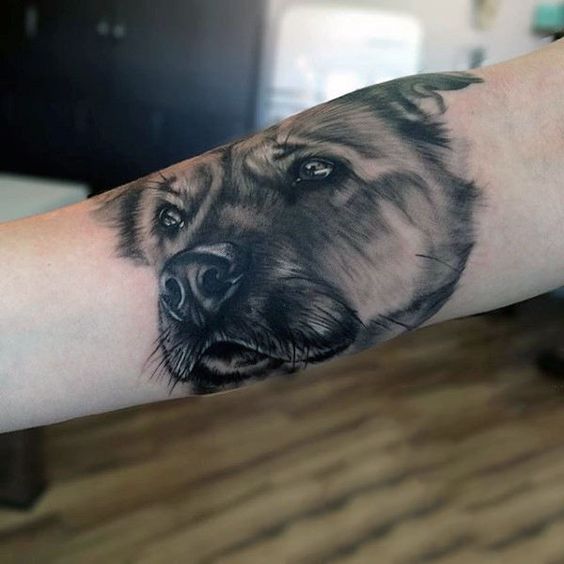 realistic black German Shepherd Dog Tattoo on the forearm