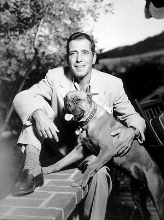 old photo of Humphrey Bogart sitting on the bench with his Boxer dog