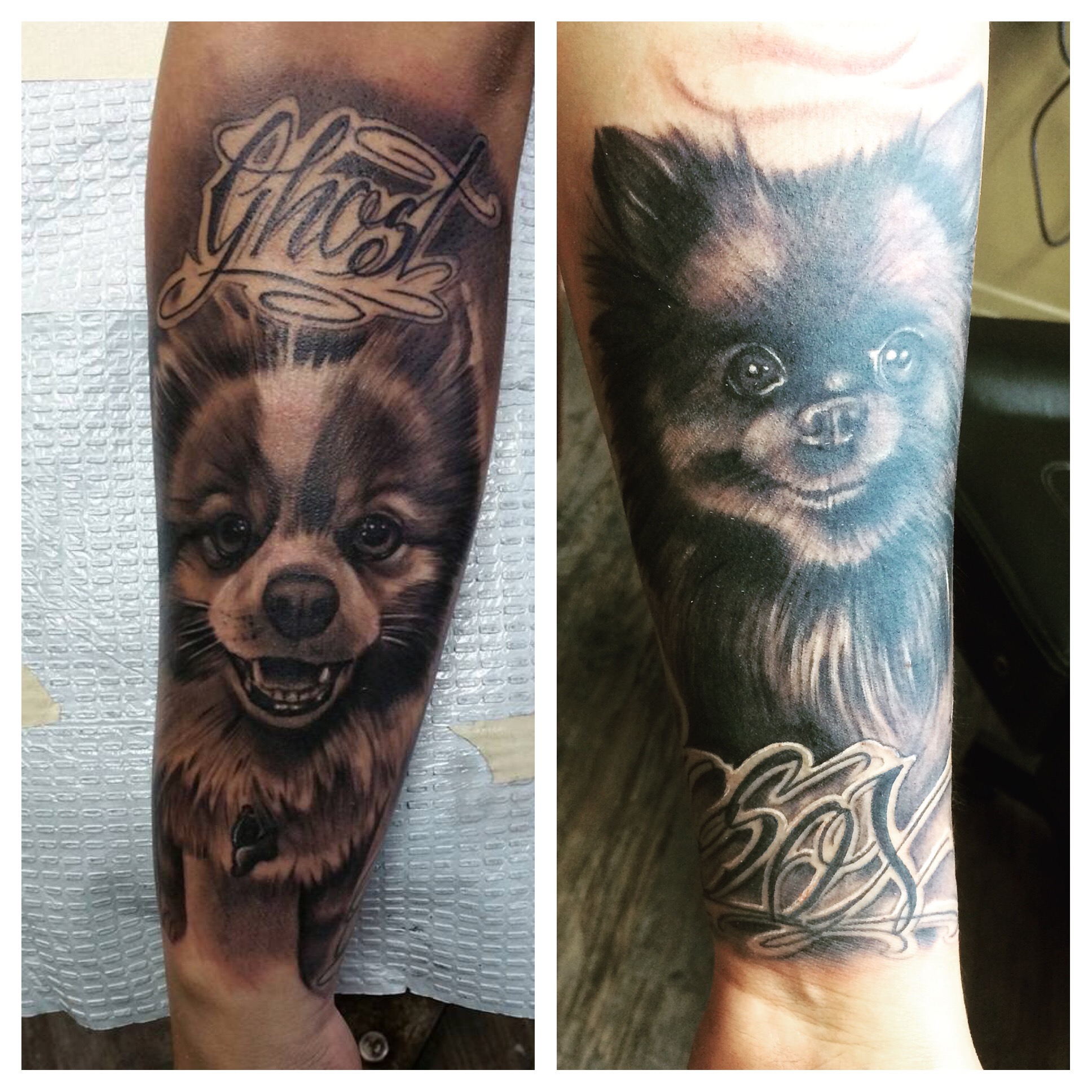 two photos of black Pomeranian Tattoo on the forearm