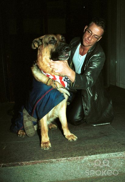 ean-Claude Van Damme on the floor with his German Shepherd