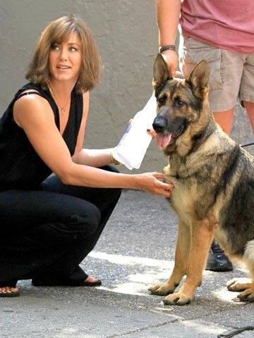 Jennifer Aniston sitting on the floor petting her German Shepherd