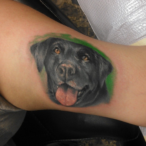 Chocolate Lab Dog Color Portrait Tattoo by London Reese TattooNOW