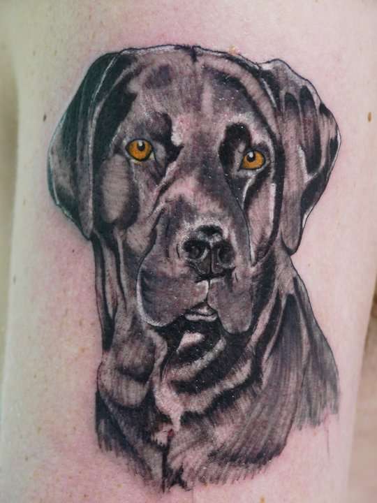 black Labrador with orange eyes tattoo