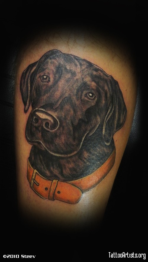 face of a black Labrador tattoo on the leg