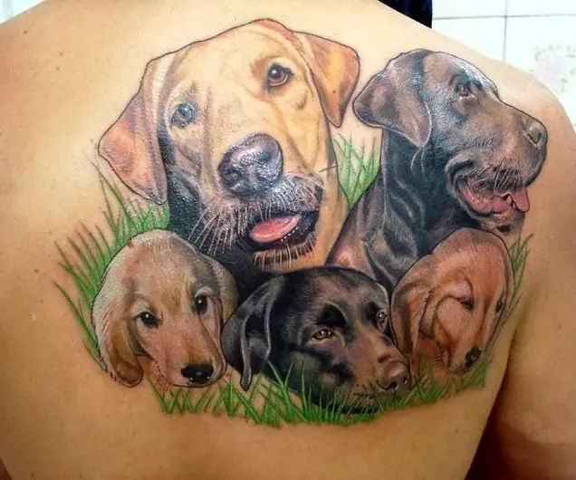 faces of five Labradors with green grass tattoo on the back