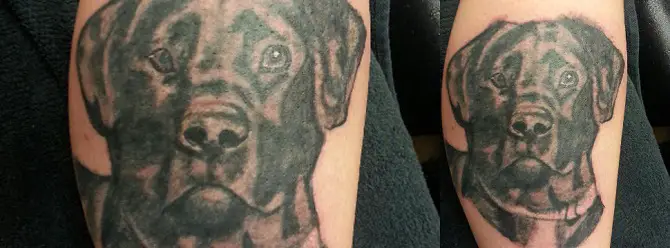 face of a black Labrador tattoo on the leg