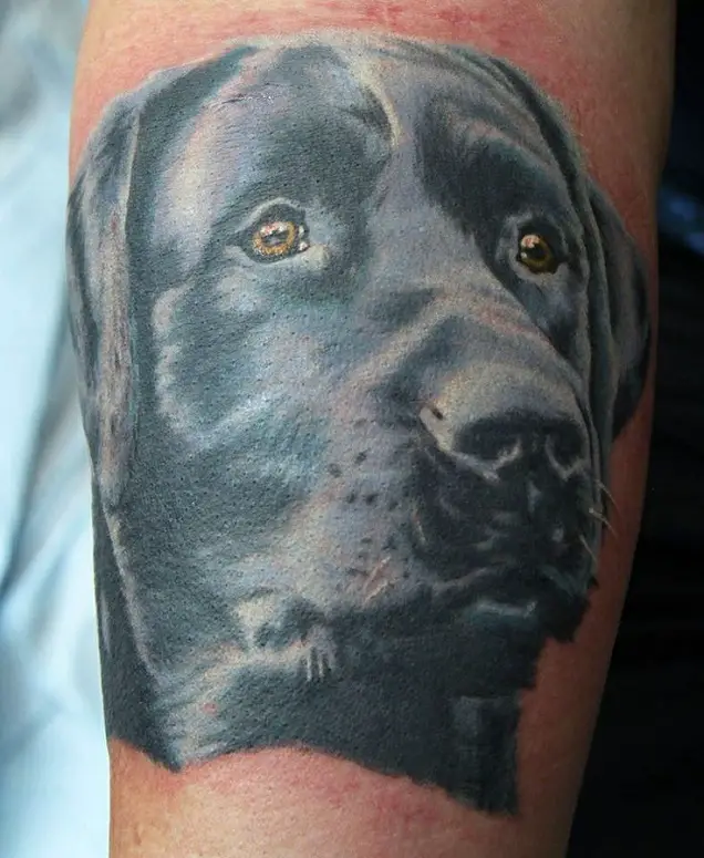 face of a black Labrador tattoo on the forearm