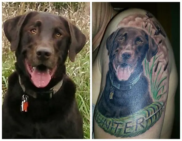chocolate brown Labrador with flowers and leaves tattoo on the shoulder
