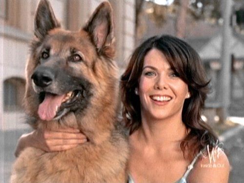 Lauren Graham with her arms around the neck of her German Shepherd