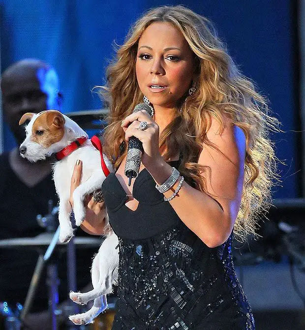 Mariah Carey singing while carrying her Jack Russell Terrier on stage