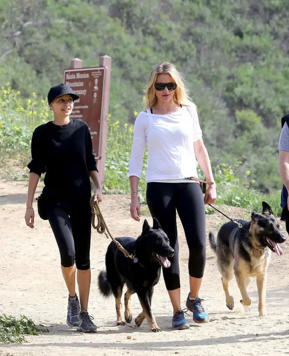 Nicole Richie And Cameron Diaz hiking with their German Shepherds