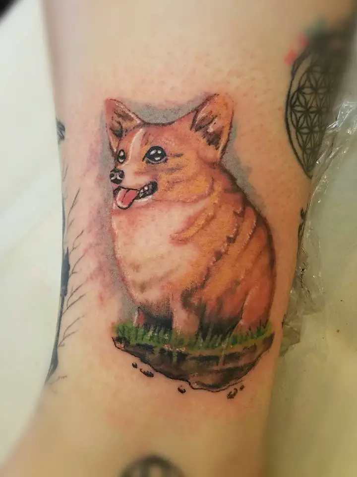 a chubby corgi sitting on the grass tattoo on the leg