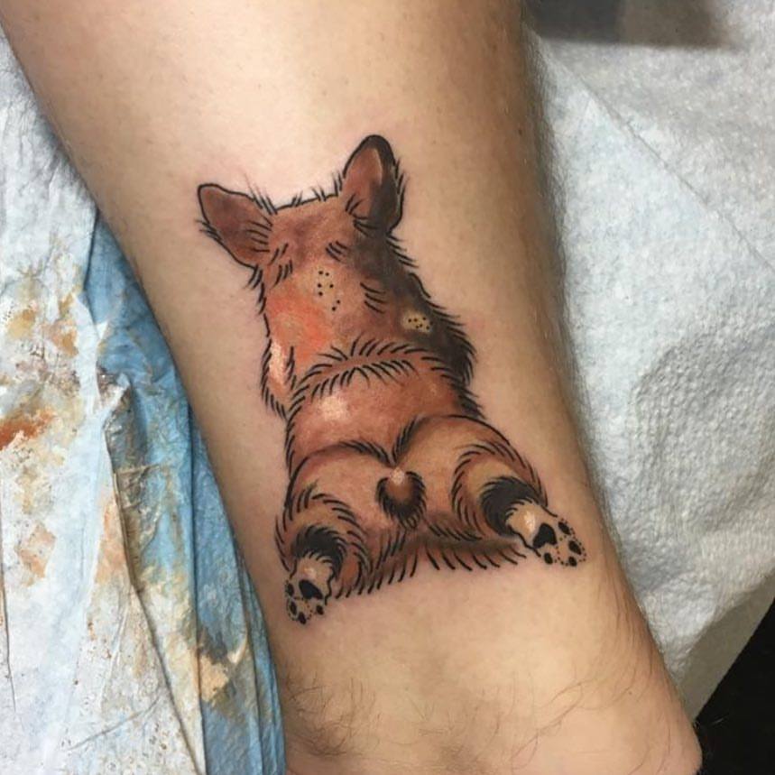 a lying down corgi showing its back tattoo on the leg