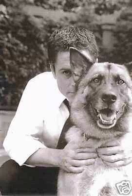 Rob Lowe behind his German Shepherd