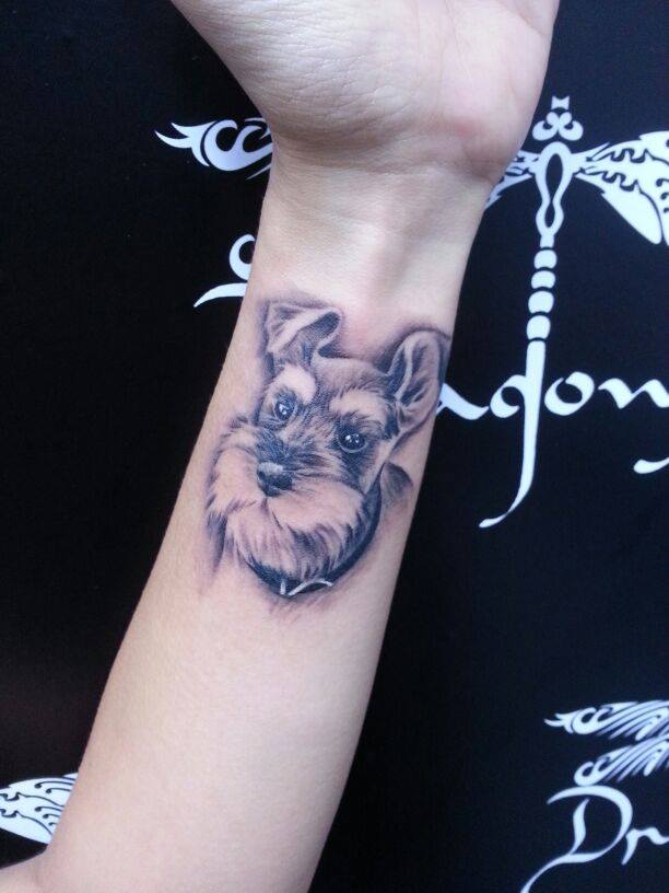 3D face of Schnauzer tattoo on the wrist