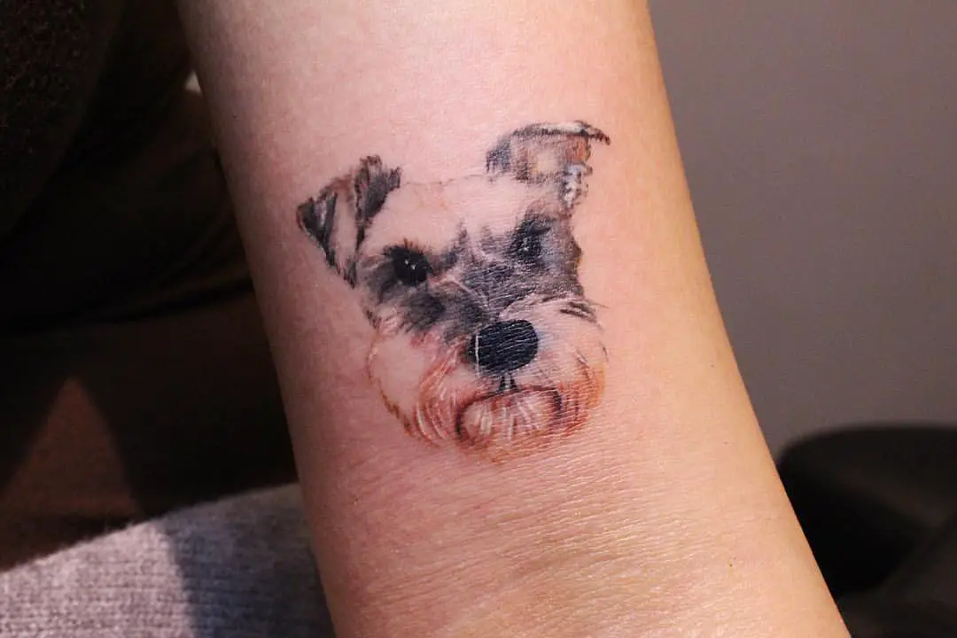 simple realistic face of Schnauzer tattoo on the biceps
