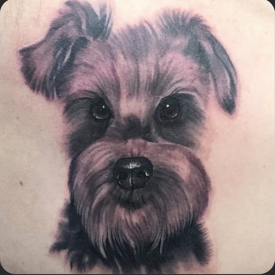 3D face of Schnauzer tattoo on the back