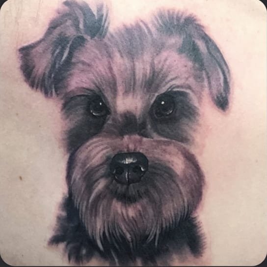 3D face of Schnauzer tattoo on the back