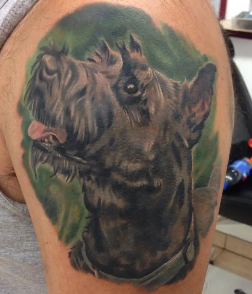 realistic face of Schnauzer looking up tattoo on the shoulder