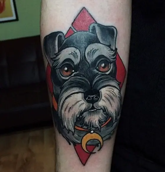 animated face of Schnauzer inside a red diamond tattoo on the leg
