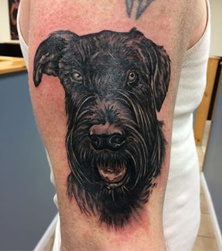 face of black Schnauzer tattoo on the shoulder