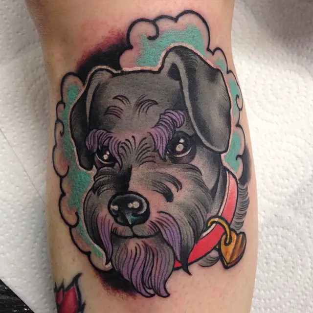 animated face of Schnauzer with blue clouds tattoo on the leg