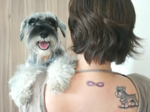 gray and white colored Schnauzer tattoo on the back of a girl while carrying her Schnauzer on her shoulder