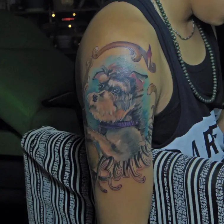 Schnauzer using soft colors tattoo on the shoulder